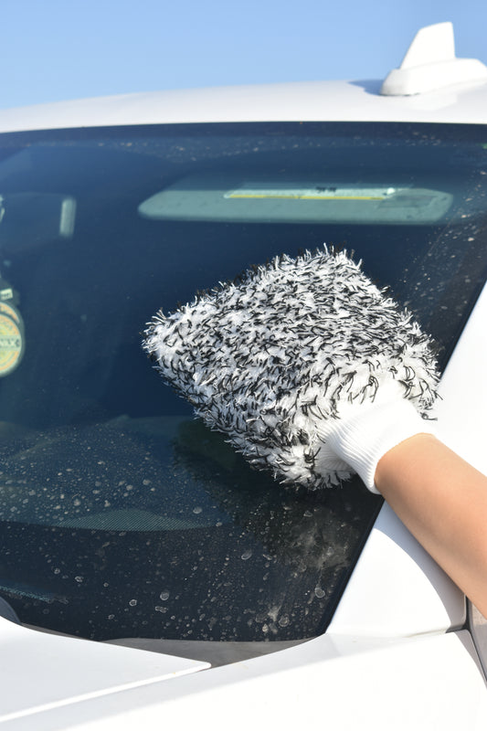 True Supply Wash Mitt